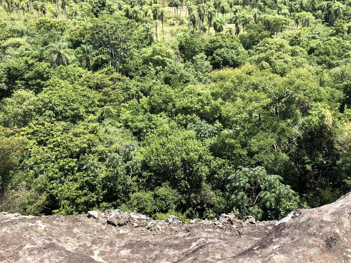 Parque Ecológico Botánico