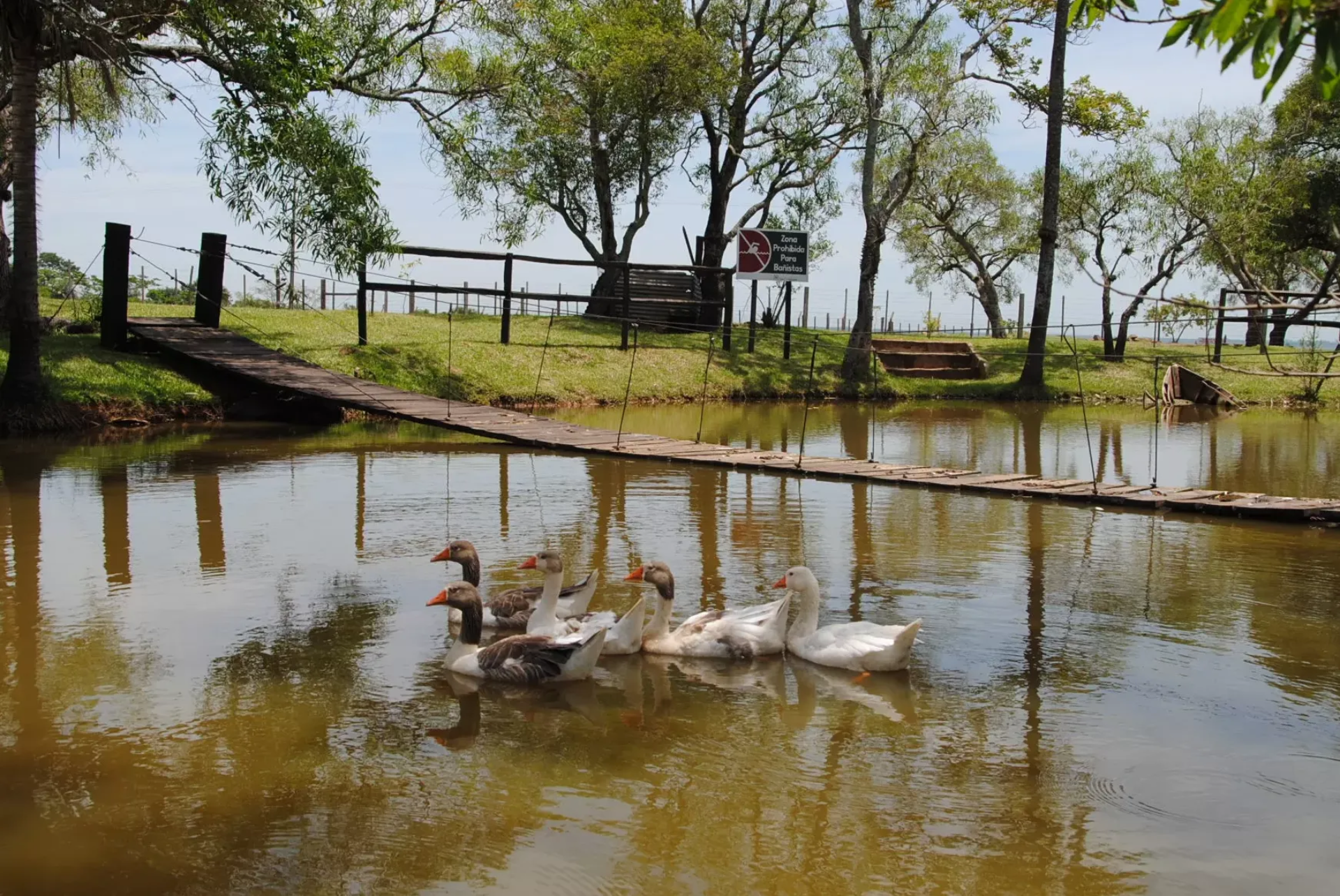 Reserva Natural Yacyreta