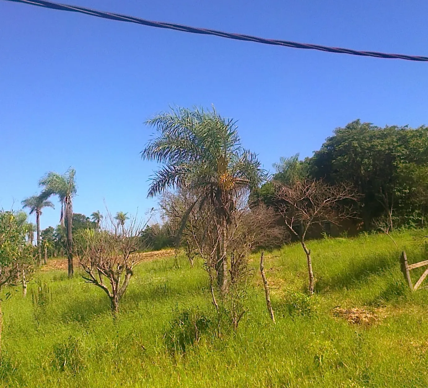 Parque Ecológico Municipal