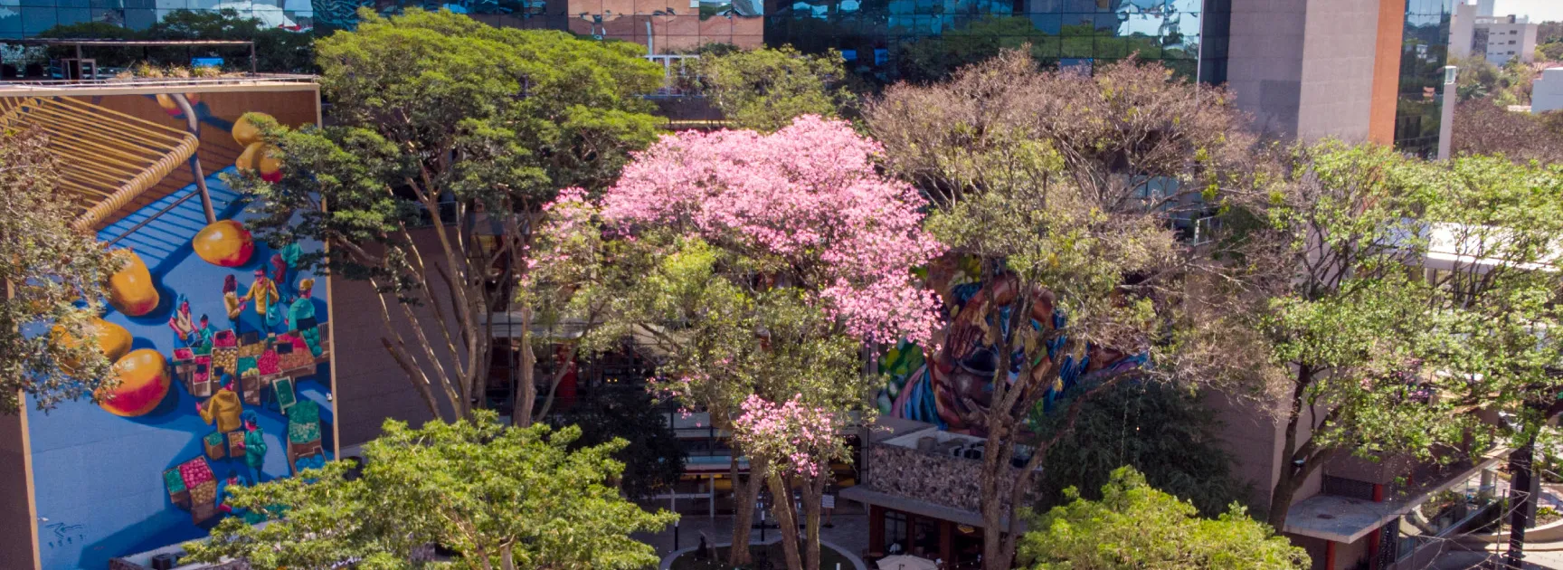 Plaza Mariscal López