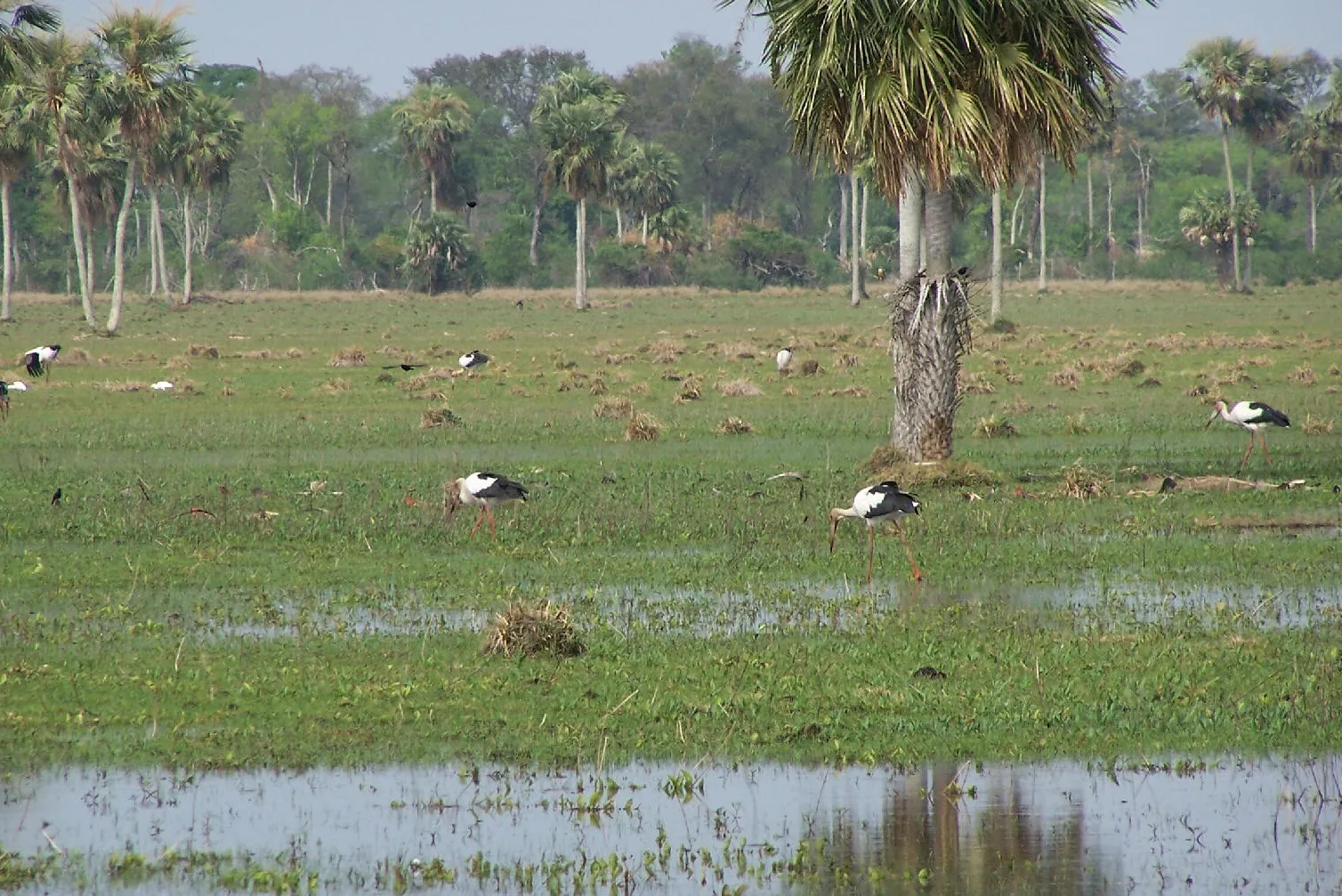 Reserva Natural Tinfunqué