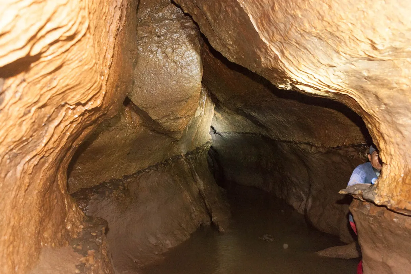 Cueva de los Tayos