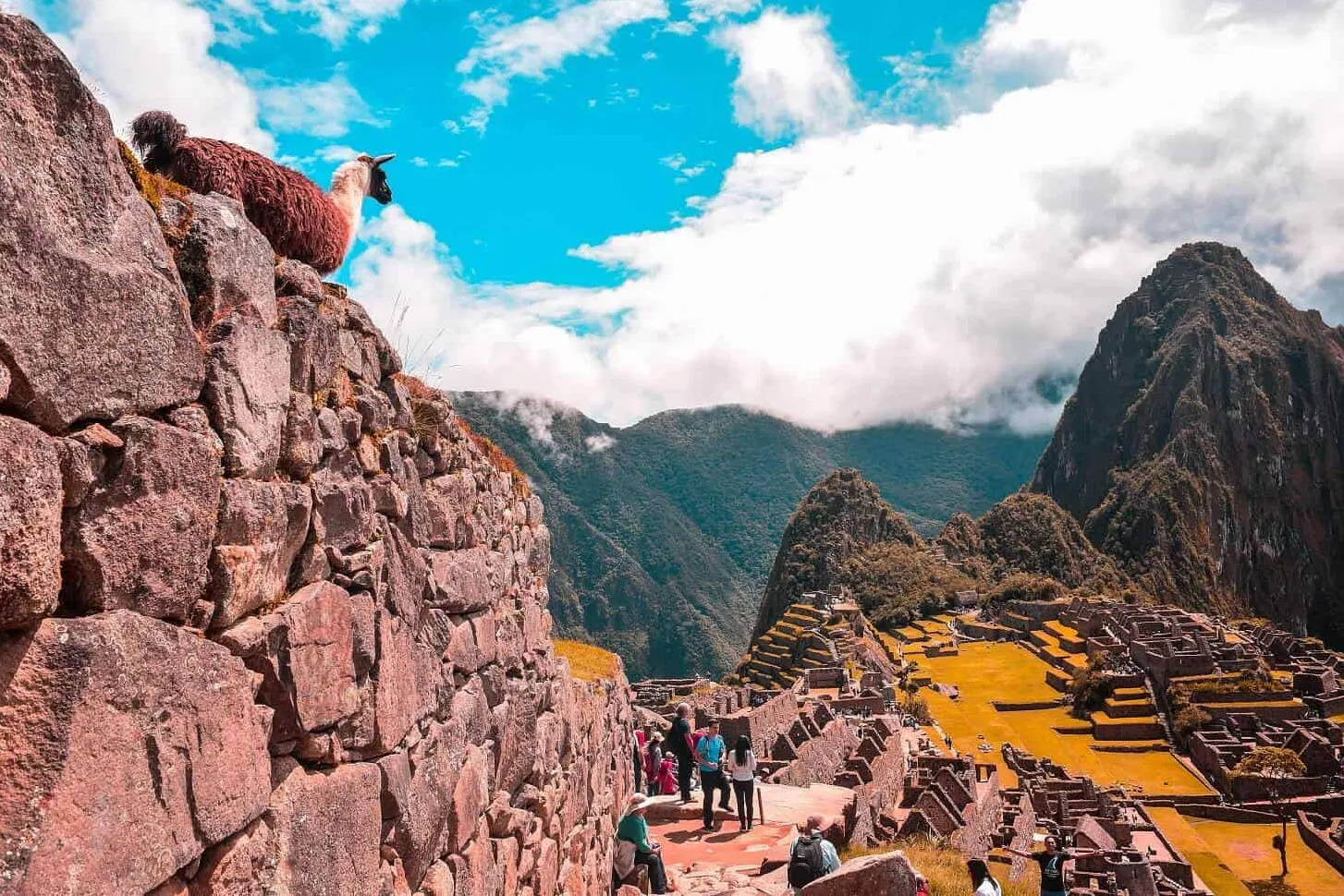 Jardín Botánico de Machu Picchu