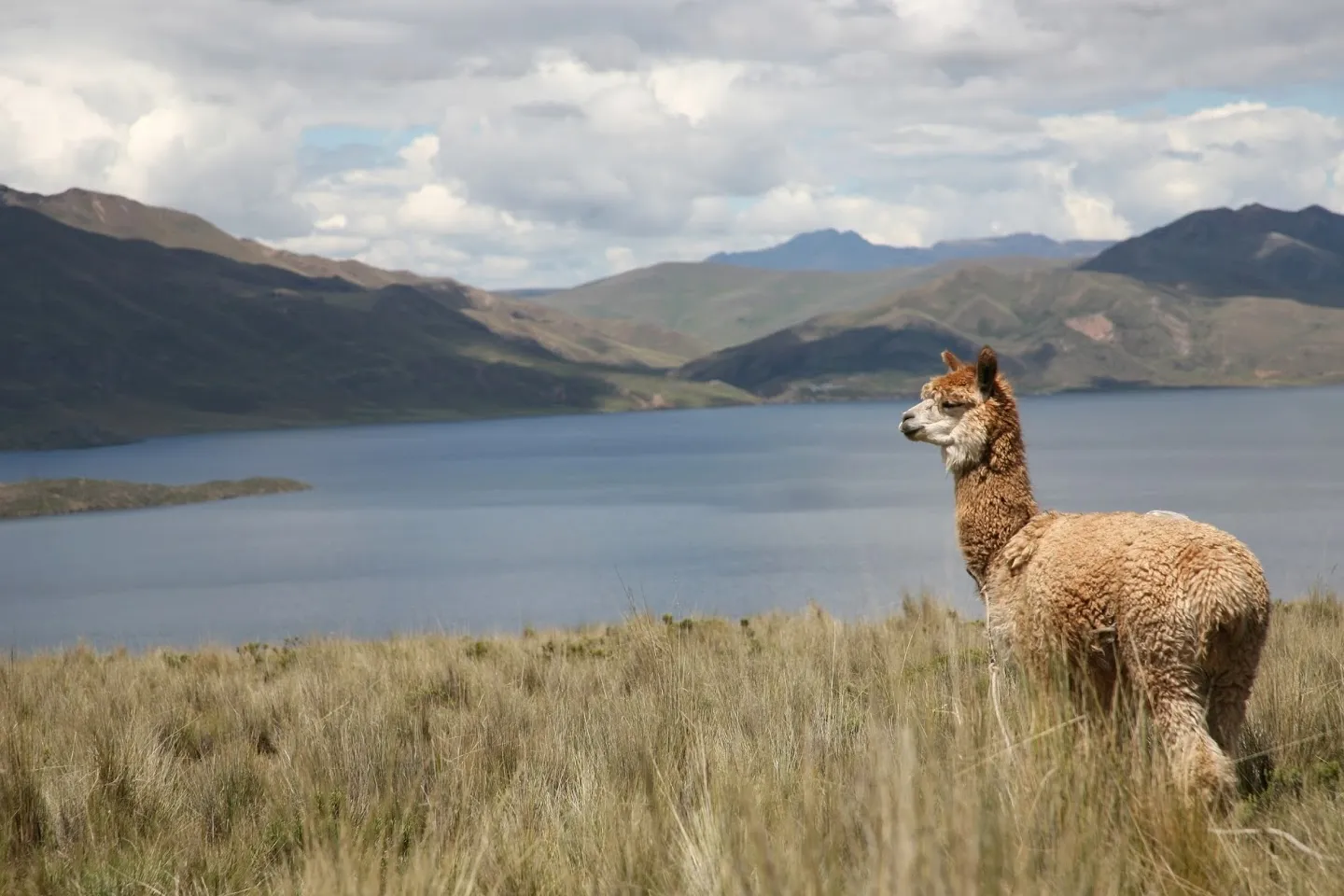 Laguna de Langui