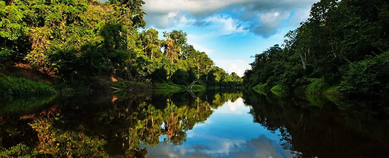 Reserva Nacional Pacaya Samiria