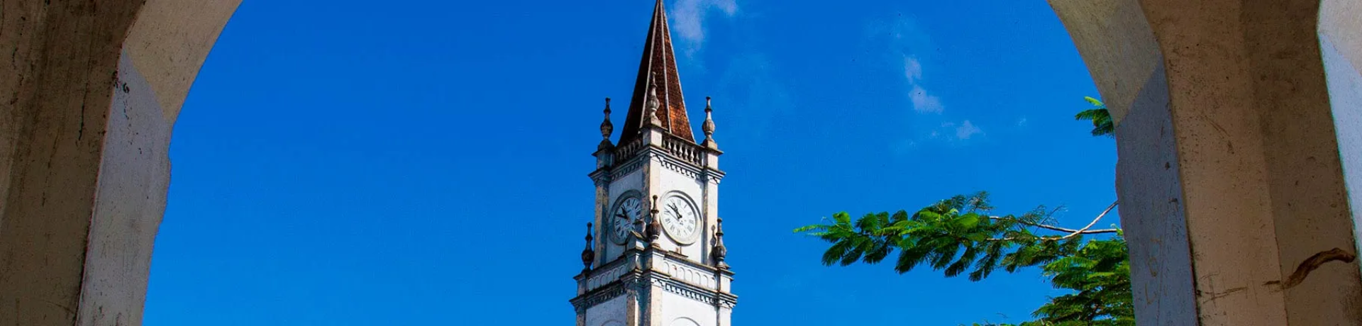 Catedral Virgen de las Nieves