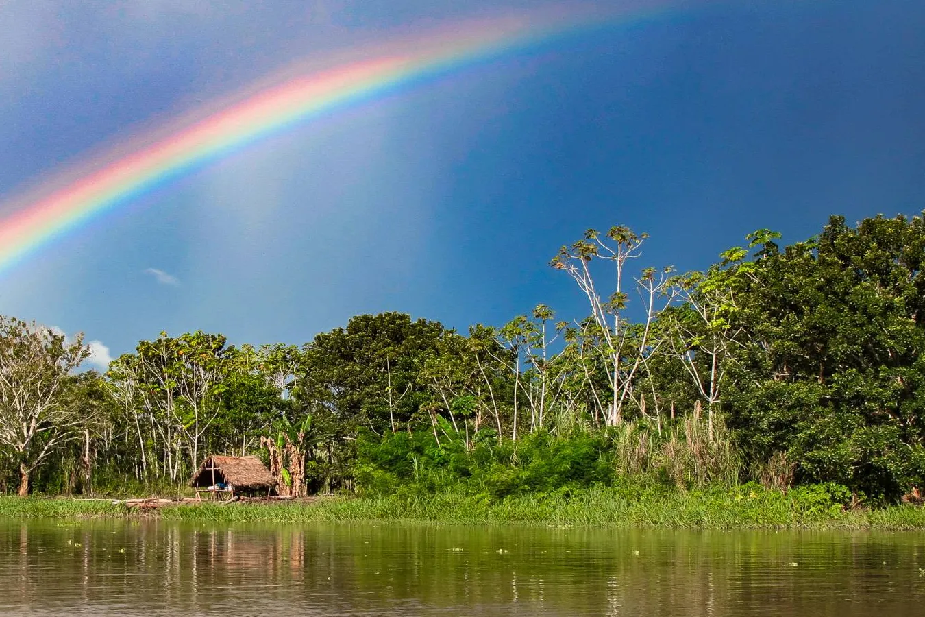 Reserva Comunal Tamshiyacu Tahuayo