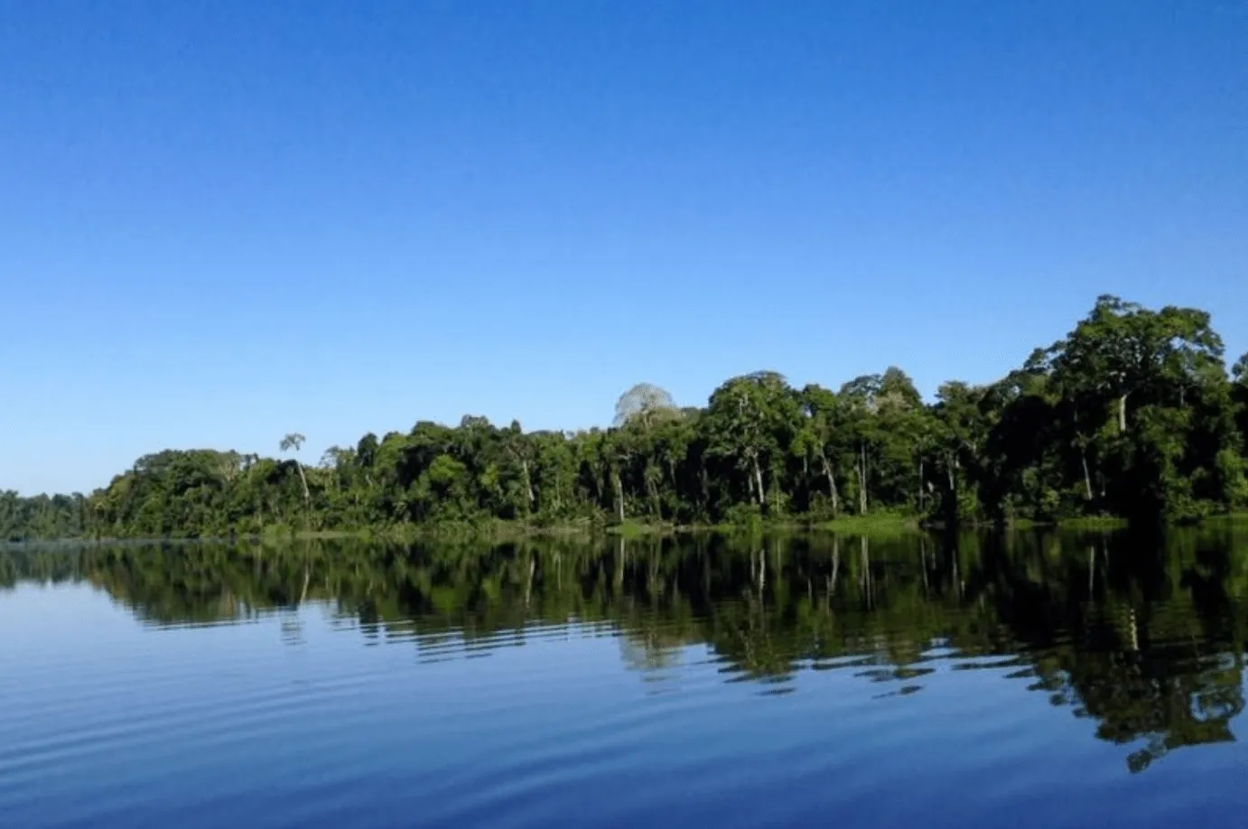 Parque Nacional Bahuaja-Sonene