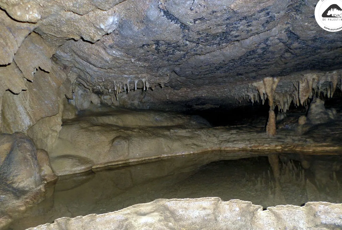 Cueva de Palestina