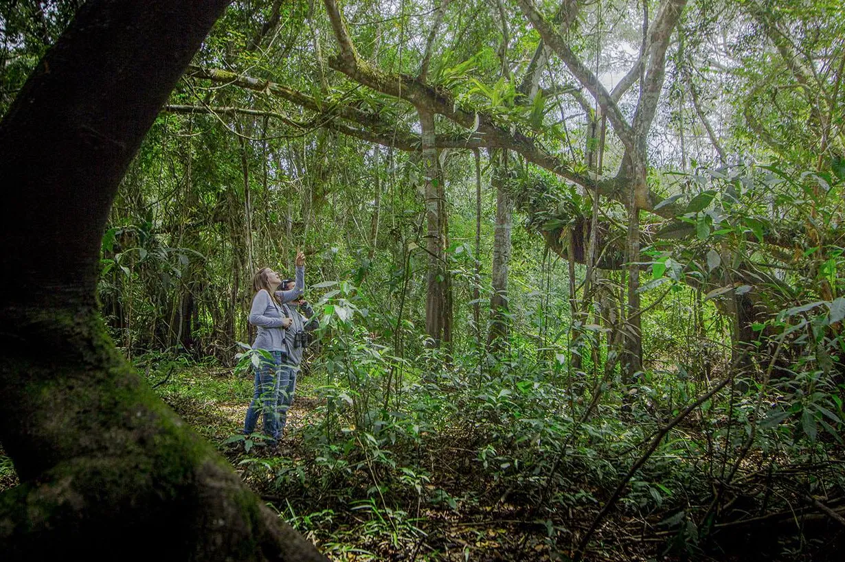 Reserva Ecológica Tingana