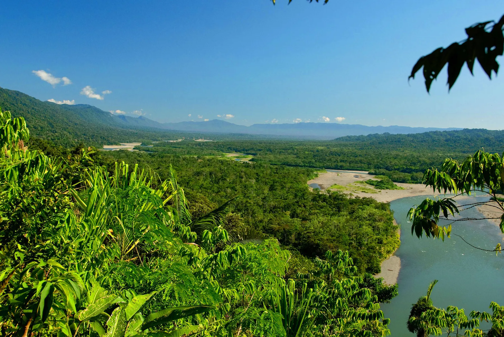 Reserva Ecológica Cordillera Escalera