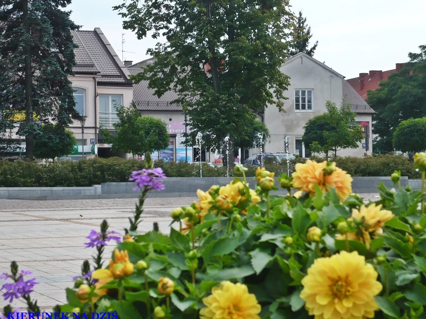 Parque Książąt Mazowieckich