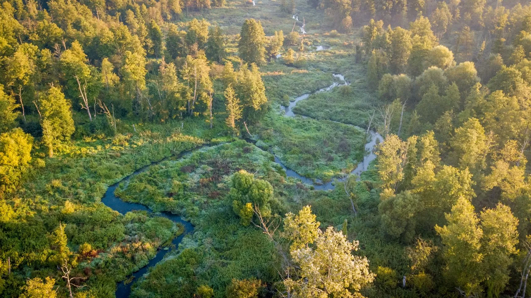 Reserva Natural Chojnowski Park Krajobrazowy