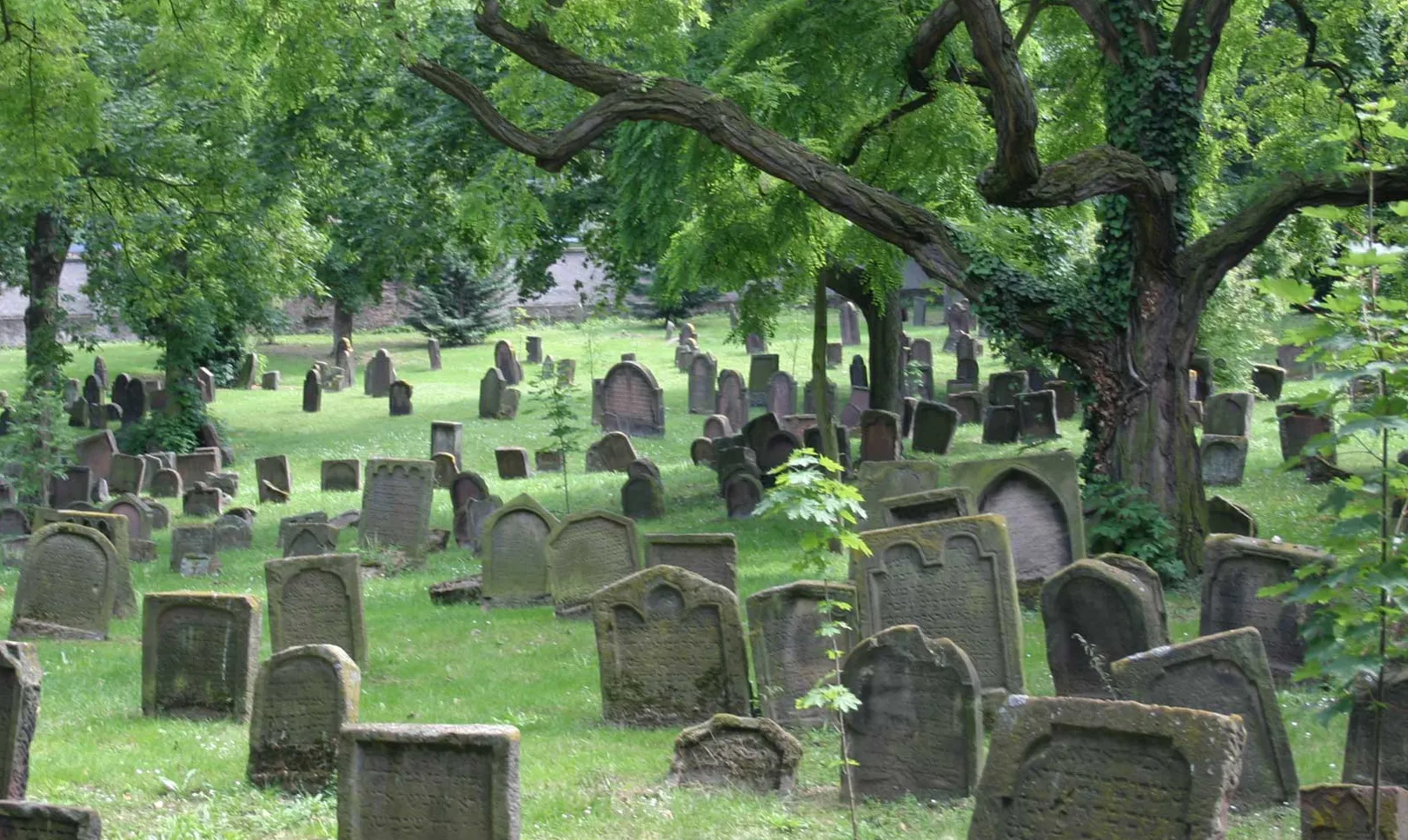 Cementerio del Cementerio de Stary Dom