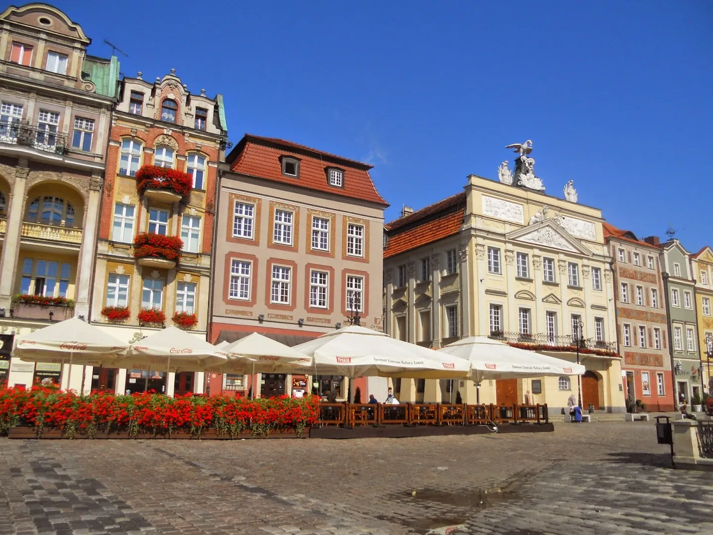 Gran Mercado Viejo (Stary Rynek)