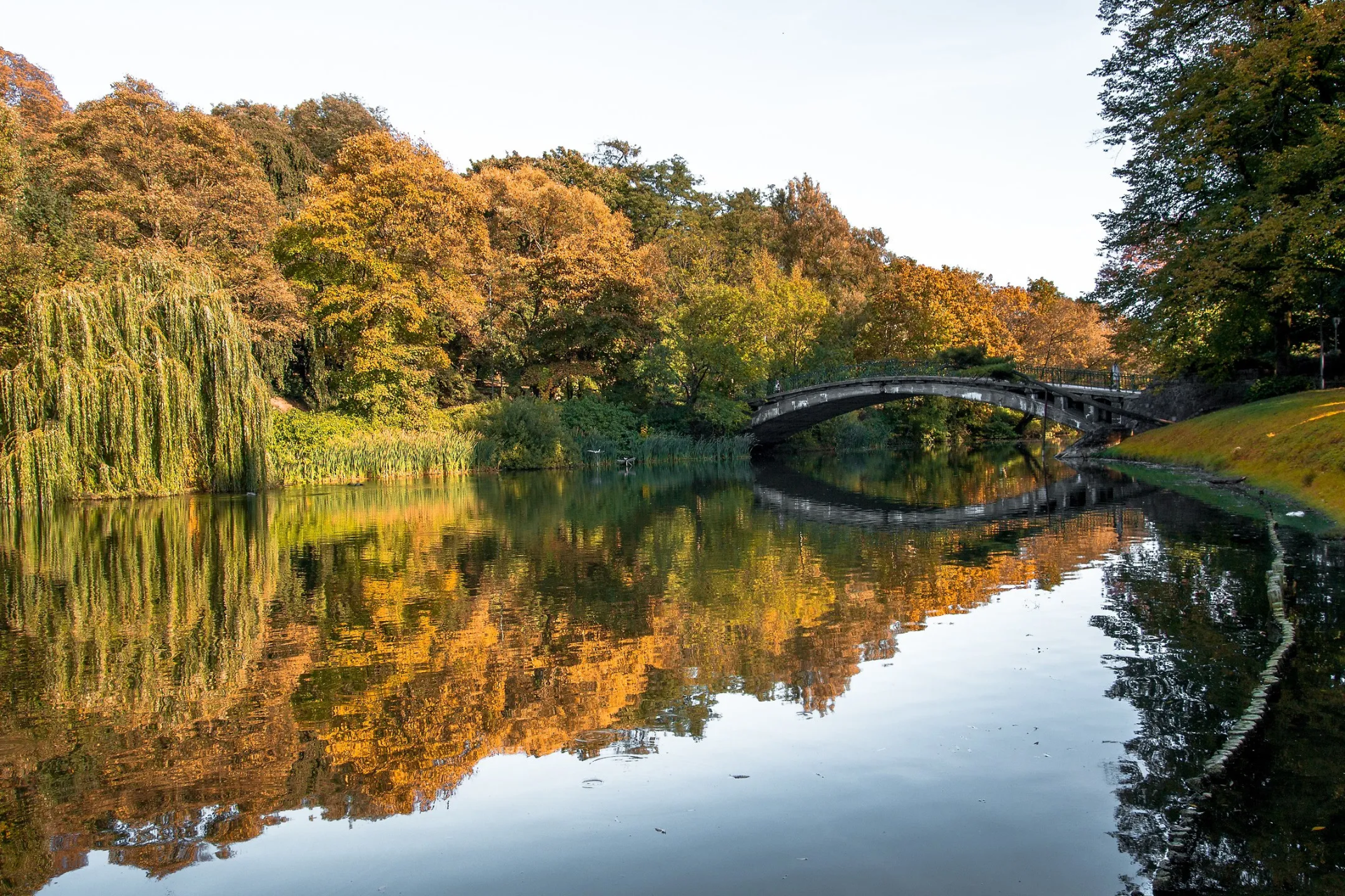 Parque Kasprowicza