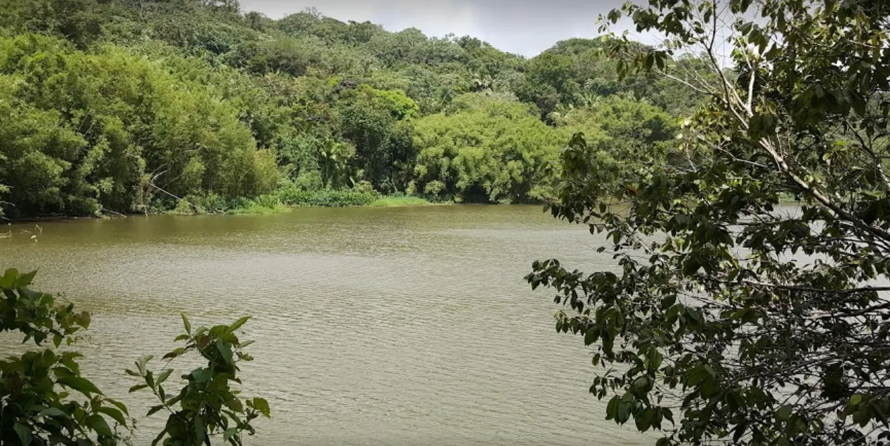 Puente La Hamaca