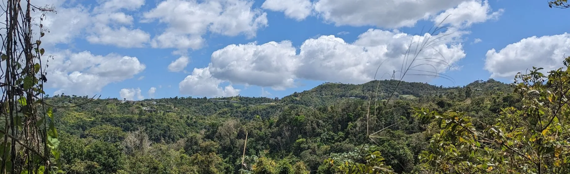 Cañón San Cristóbal