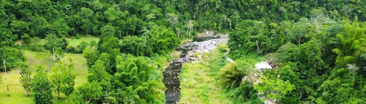 Toro Negro State Forest