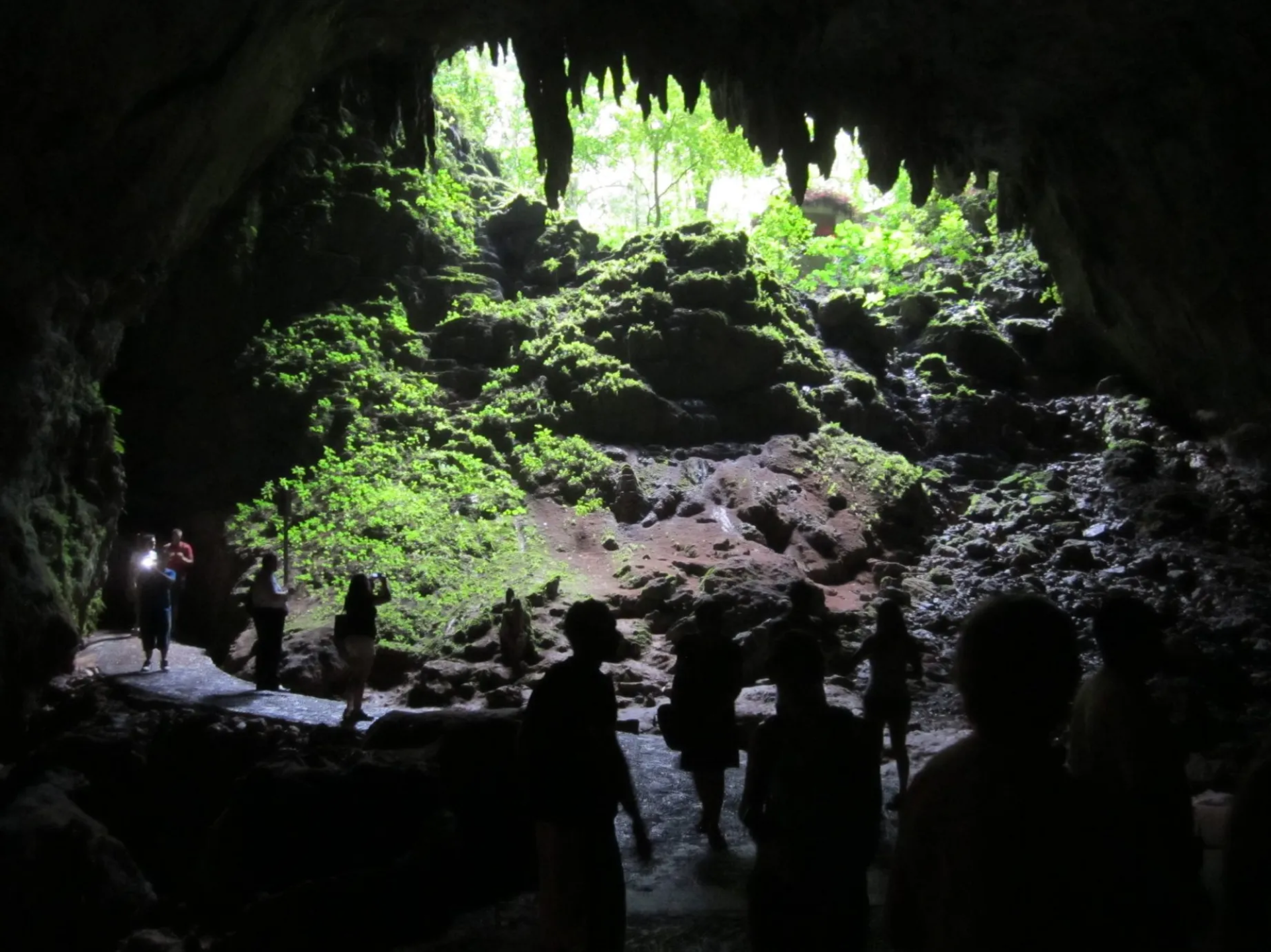 Parque de las Cavernas del Río Camuy