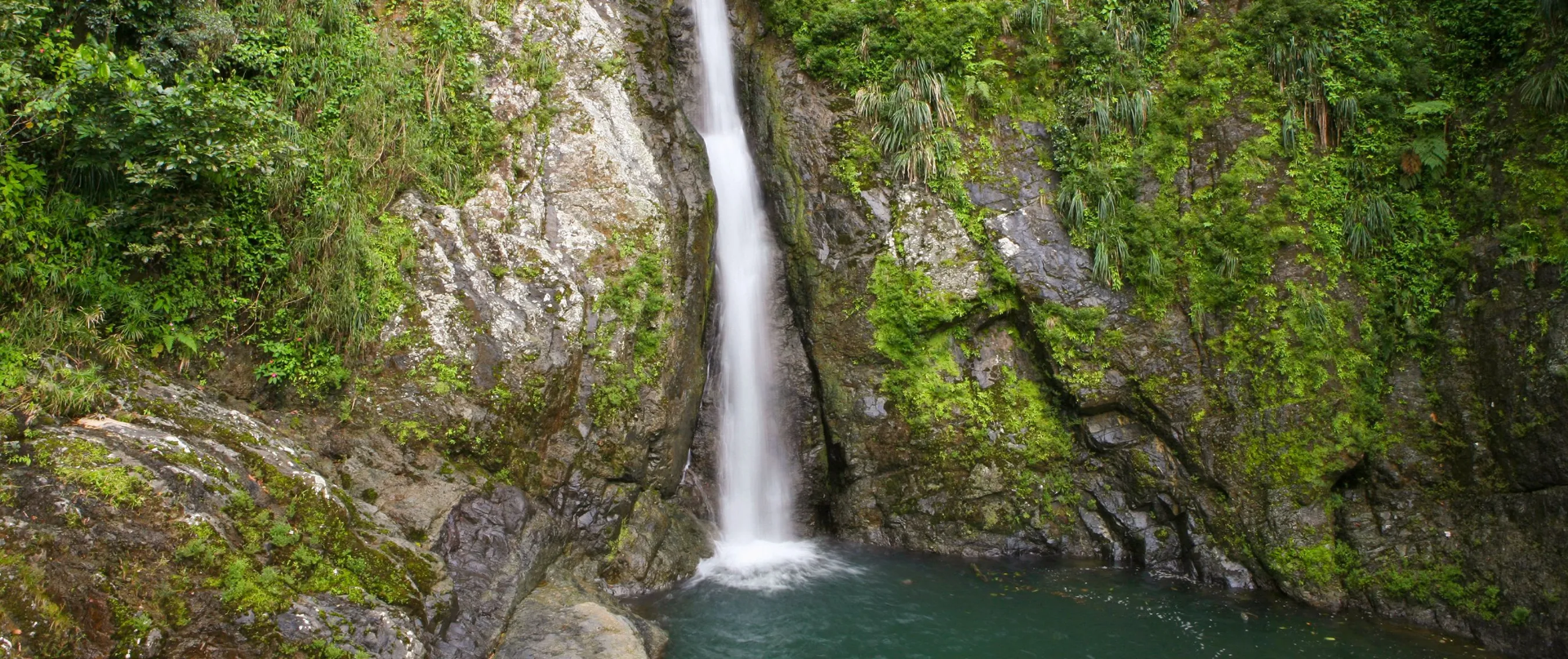 Ruta Panorámica Luis Muñoz Marín