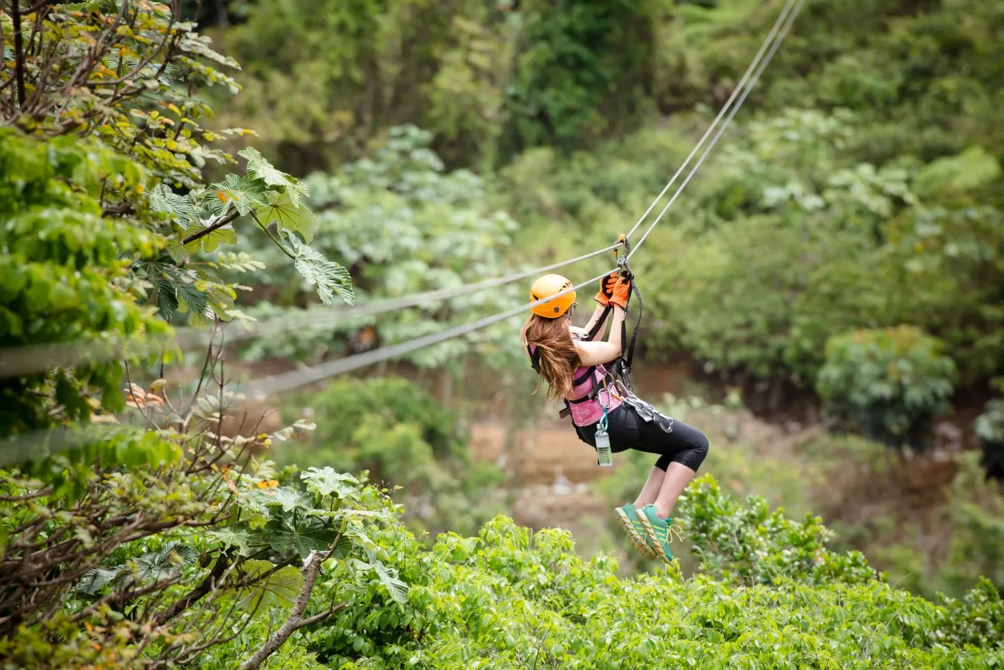 Toro Verde Nature Adventure Park