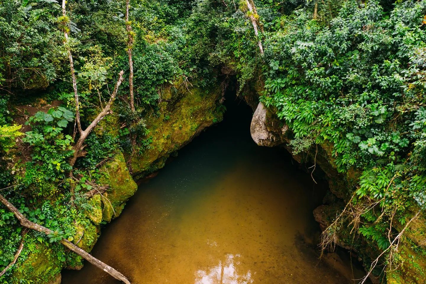 Tanamá River