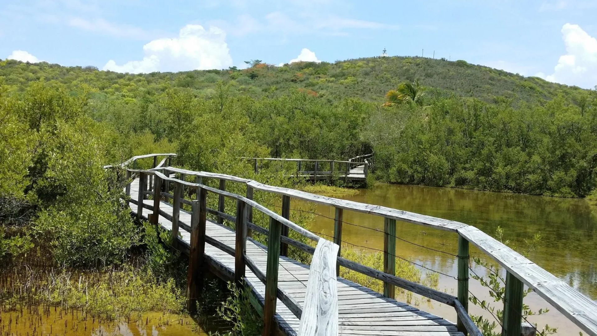 Parque Nacional de Cabezas de San Juan