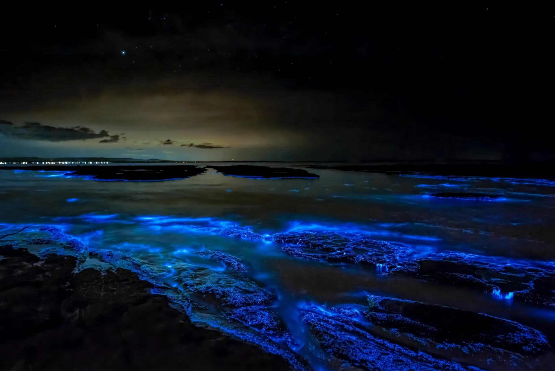 Bahía Bioluminiscente Mosquito