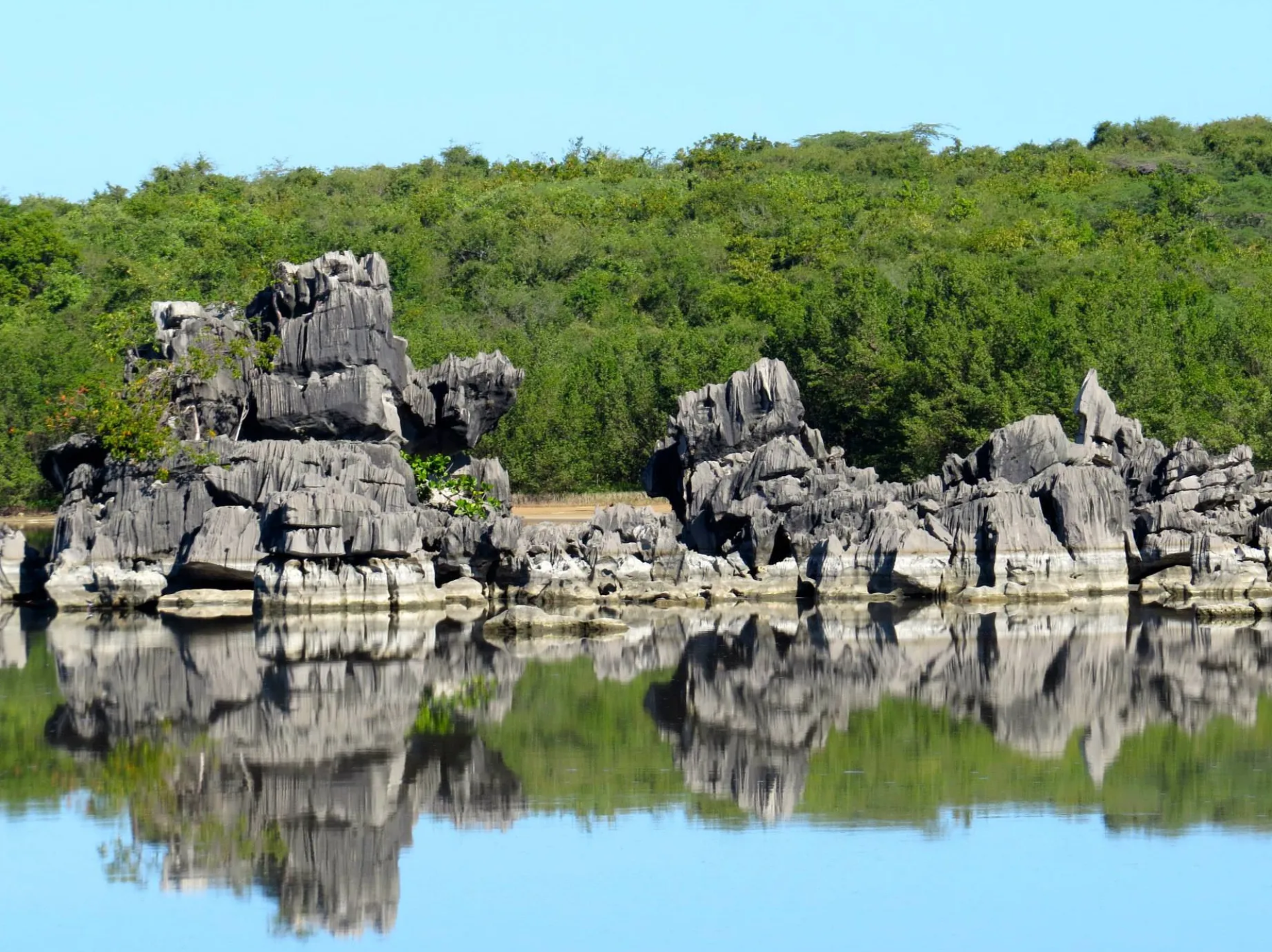 Reserva Natural Laguna Cartagena