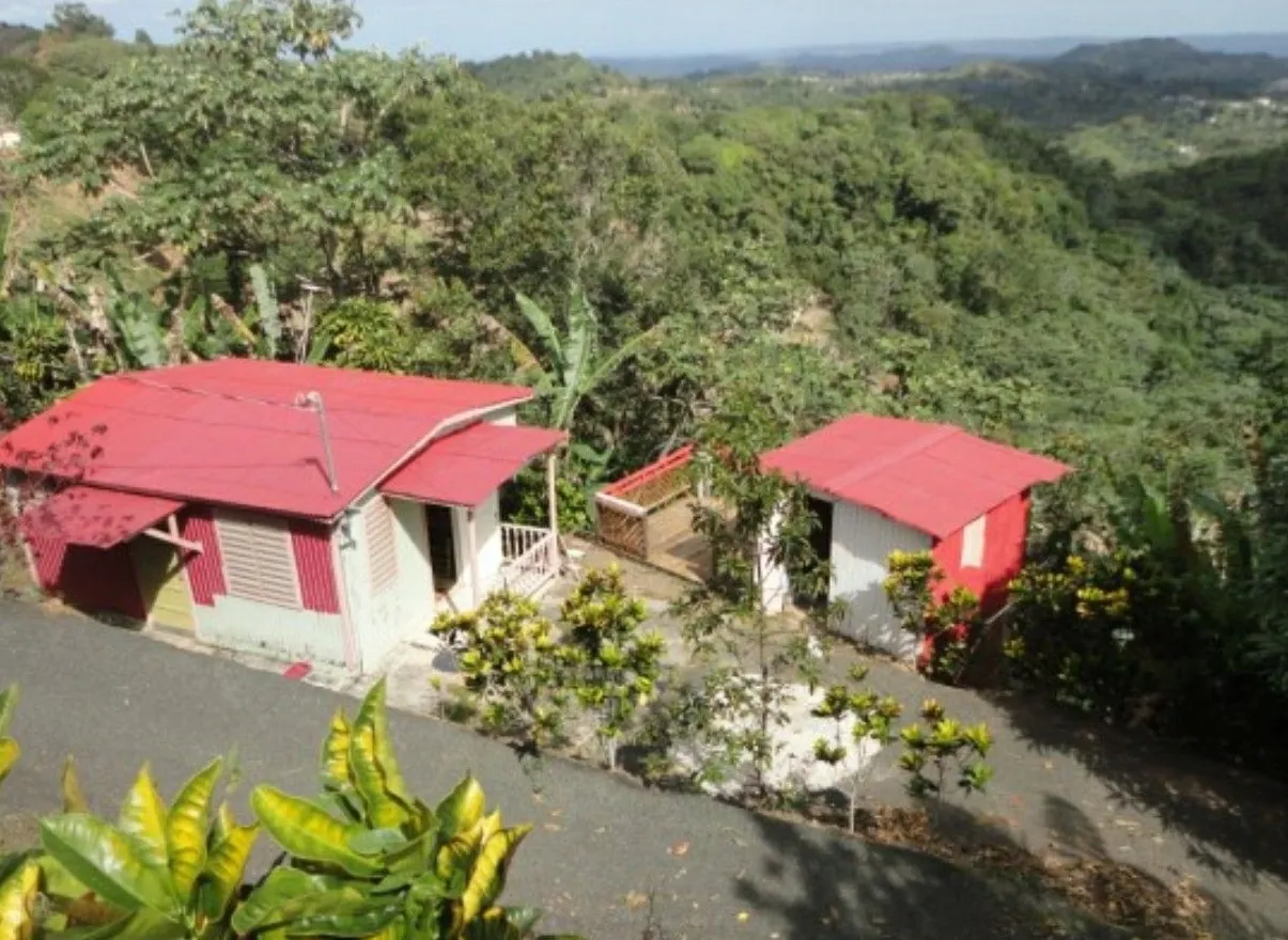 Parque Juvenil José Ramón Pérez Medina