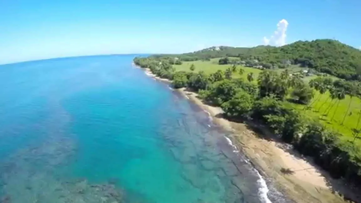 Tres Palmas Marine Reserve