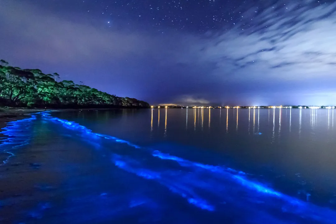 Bahía Bioluminiscente Laguna Grande