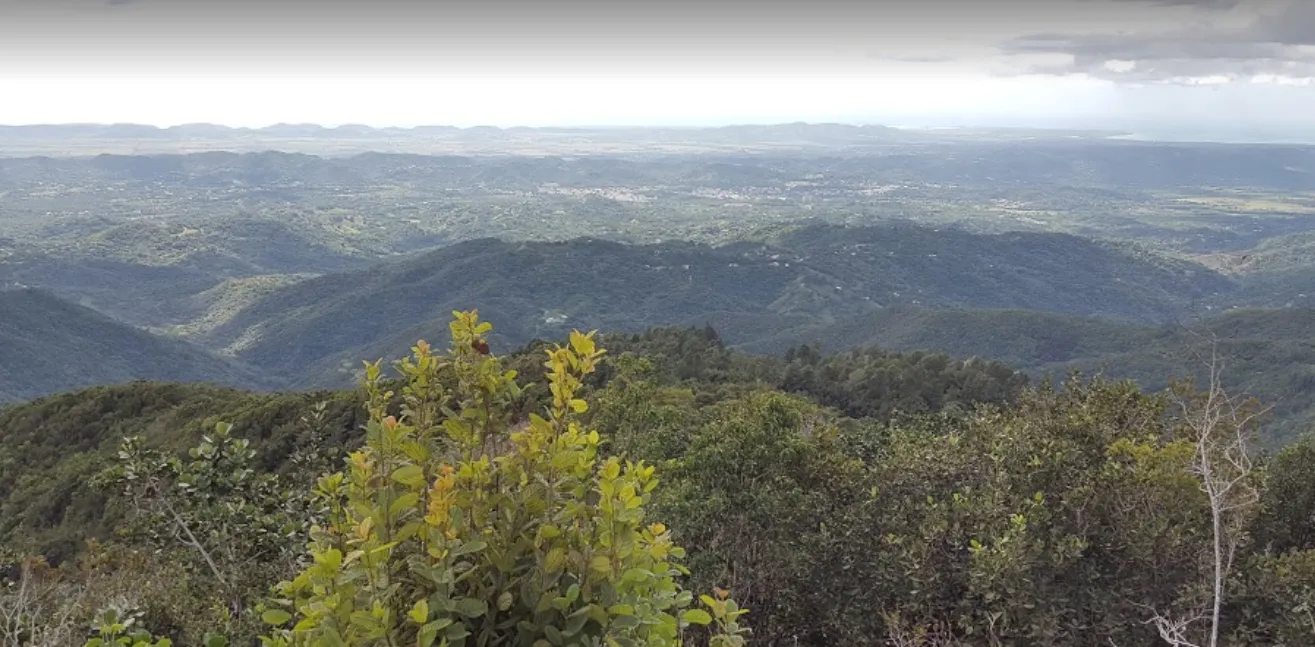 Bosque Estatal de Maricao