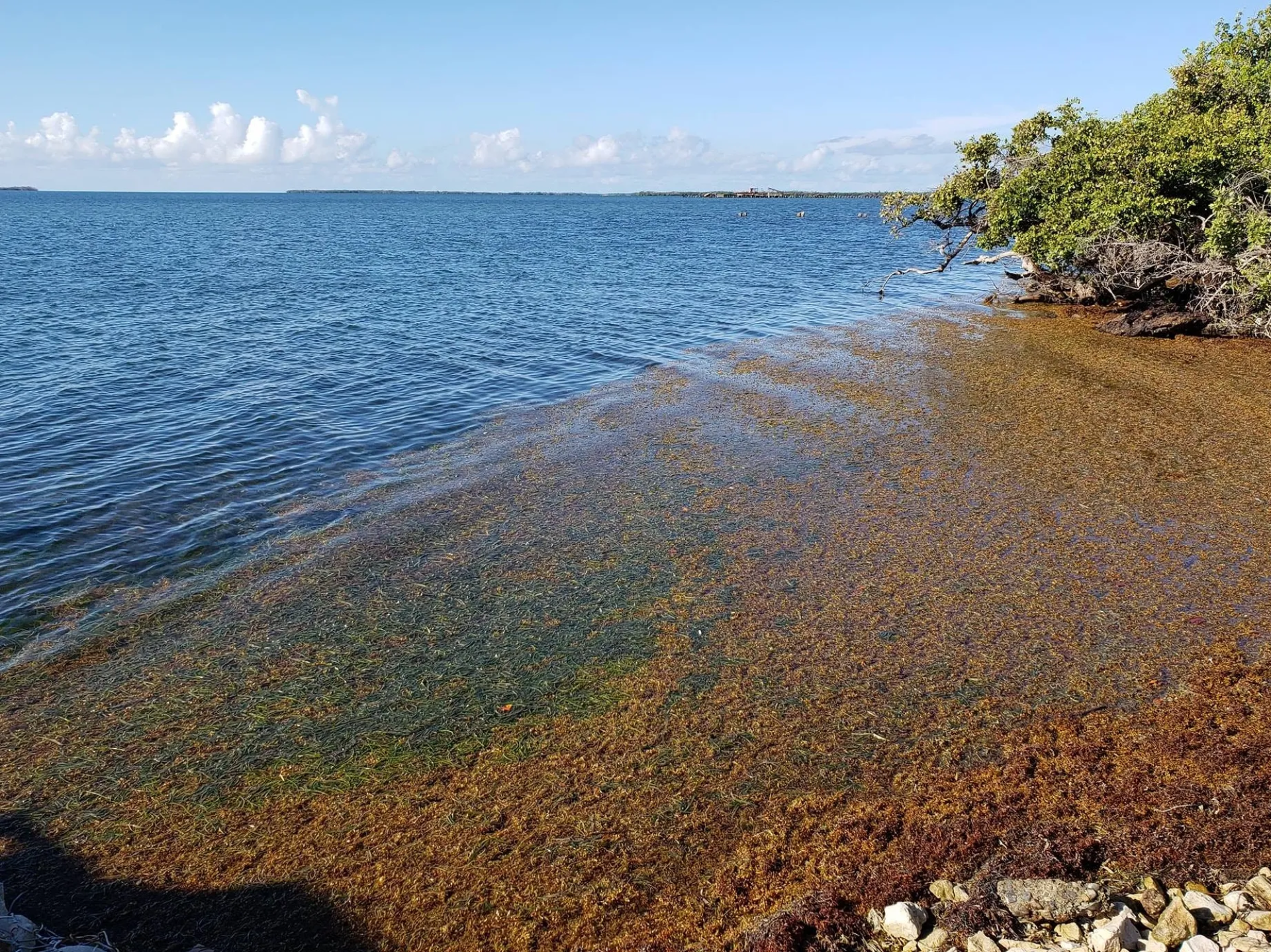 Bahía de Jobos