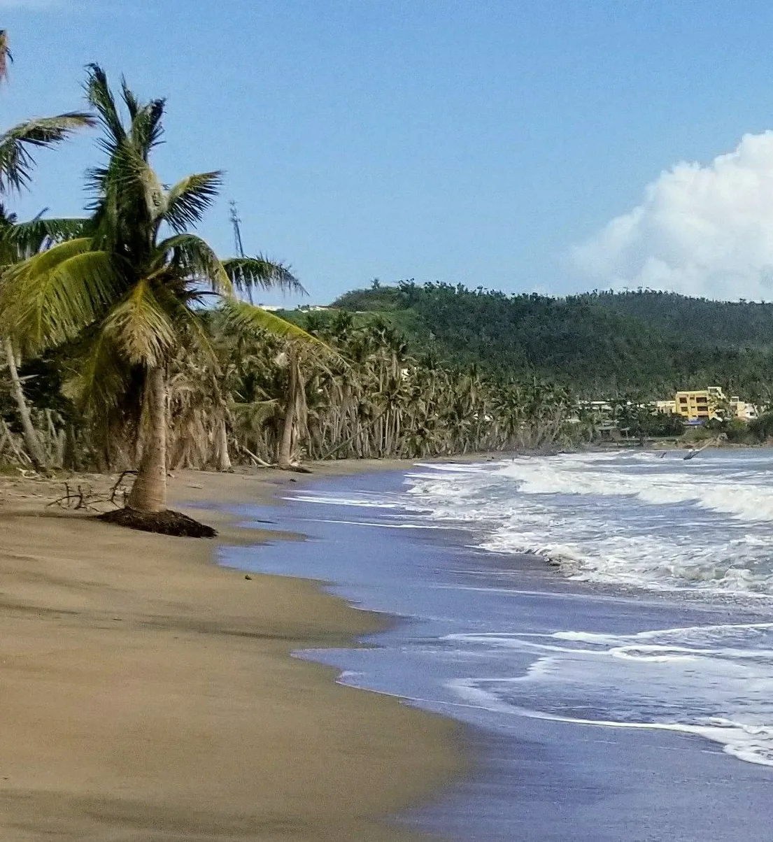 Playa Tropical Beach