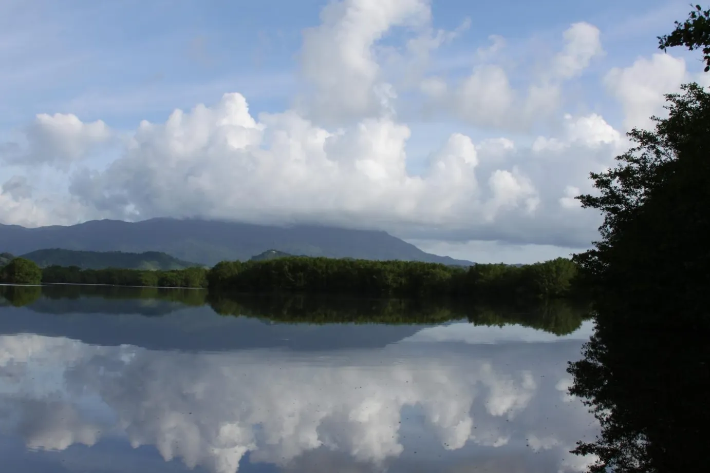 Reserva Natural de Humacao