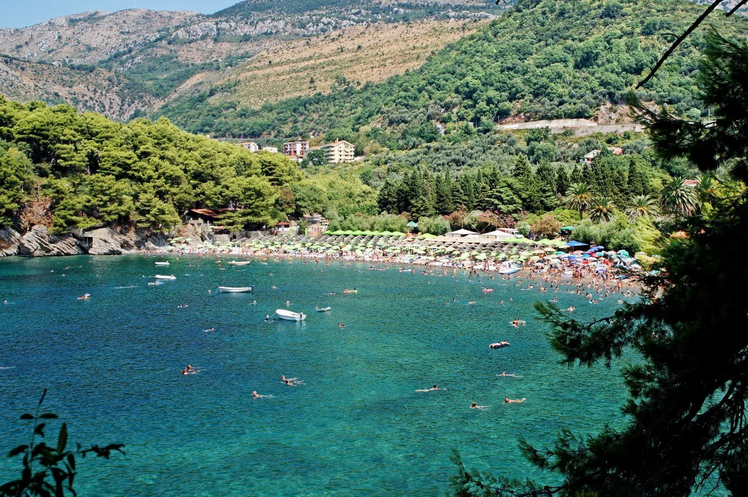 Parque de la Ciudad de Petrovac