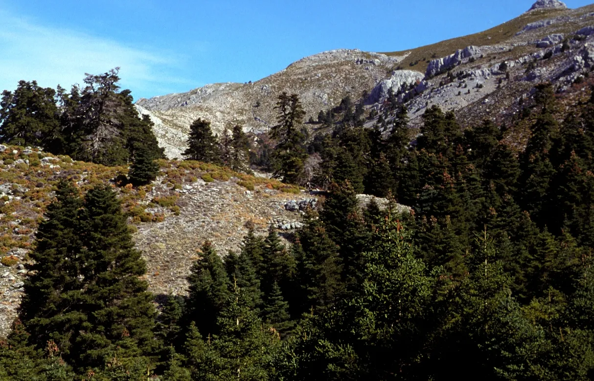 Reserva Natural de la montaña Medvednik