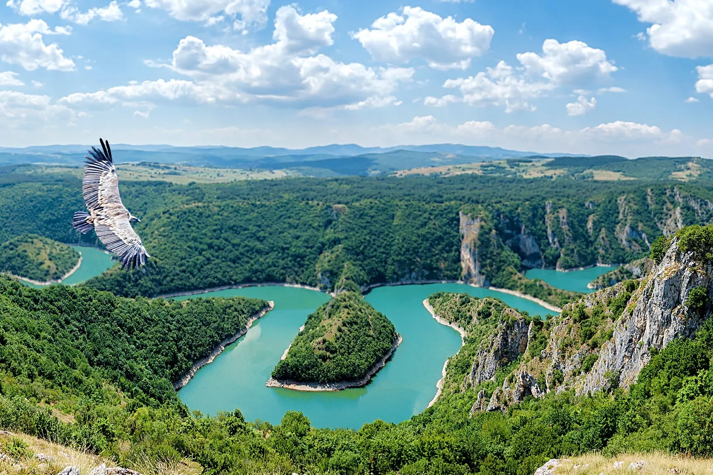 Parque Nacional de Karađorđevo