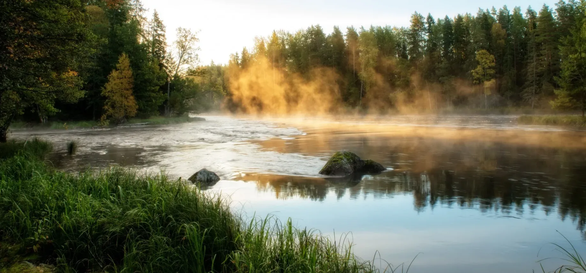 Parque Nacional Färnebofjärden