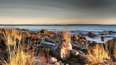 Fjärdsjön Natural Reserve