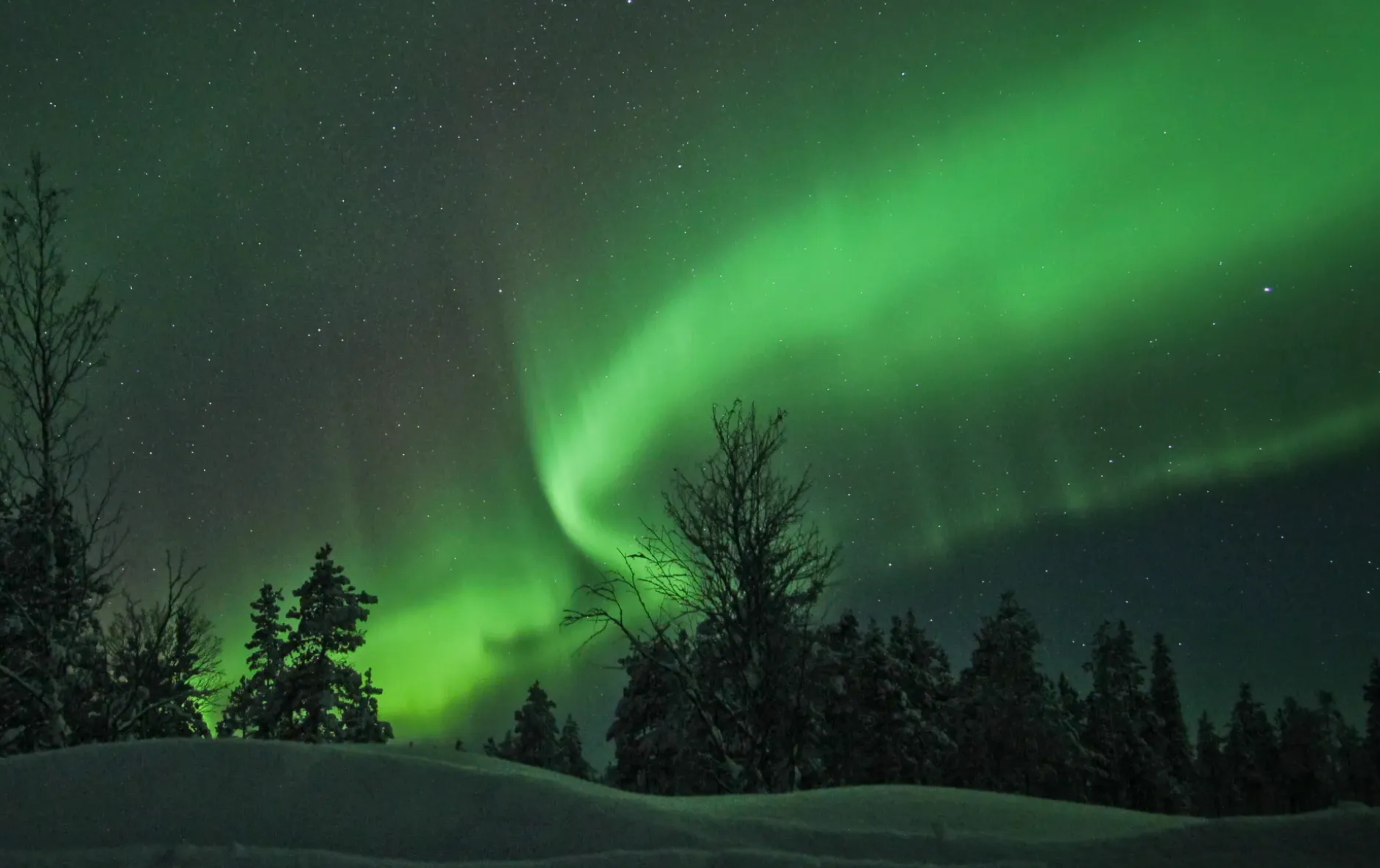 Auroras Boreales