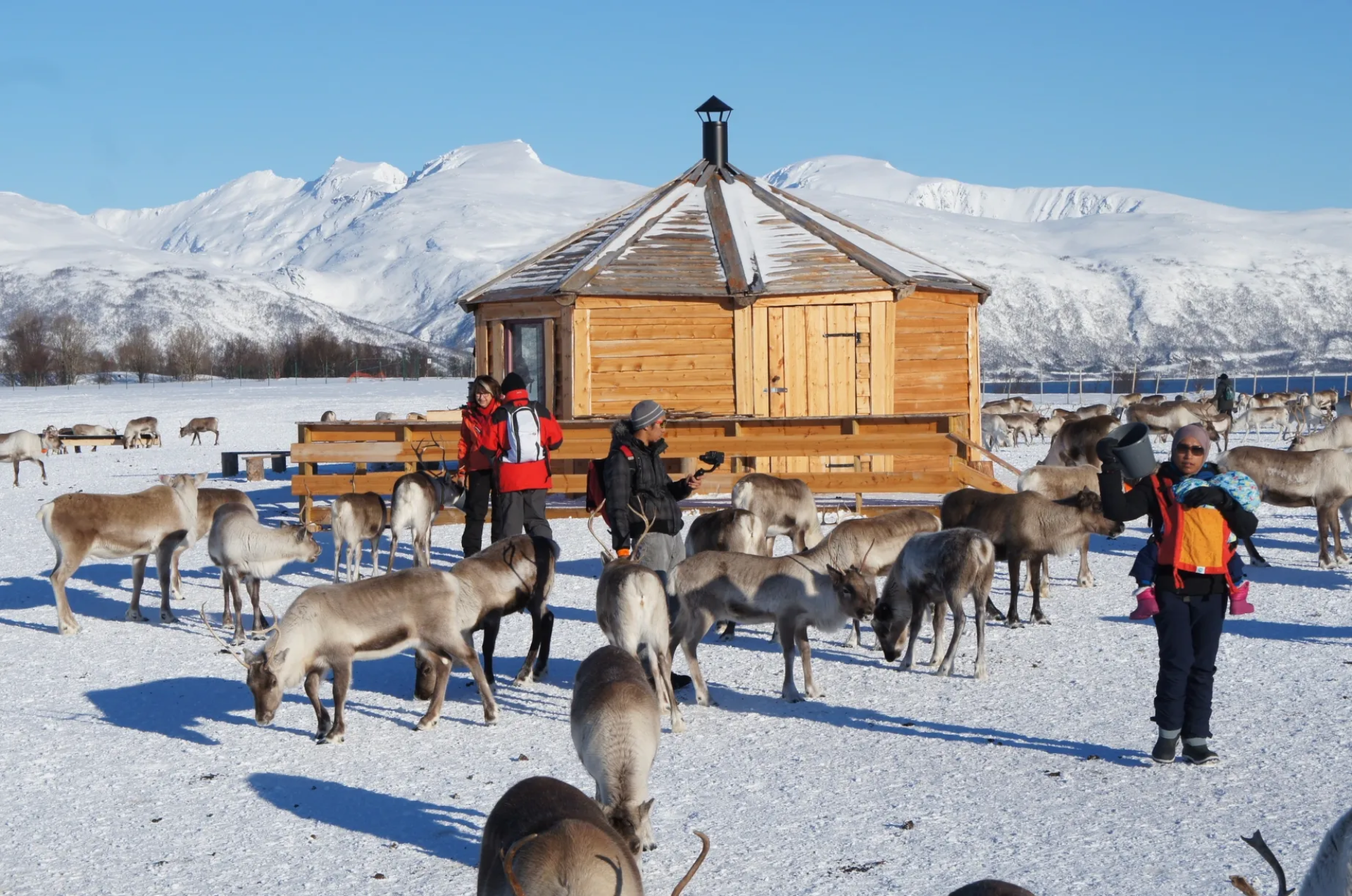 Granja de renos Sami