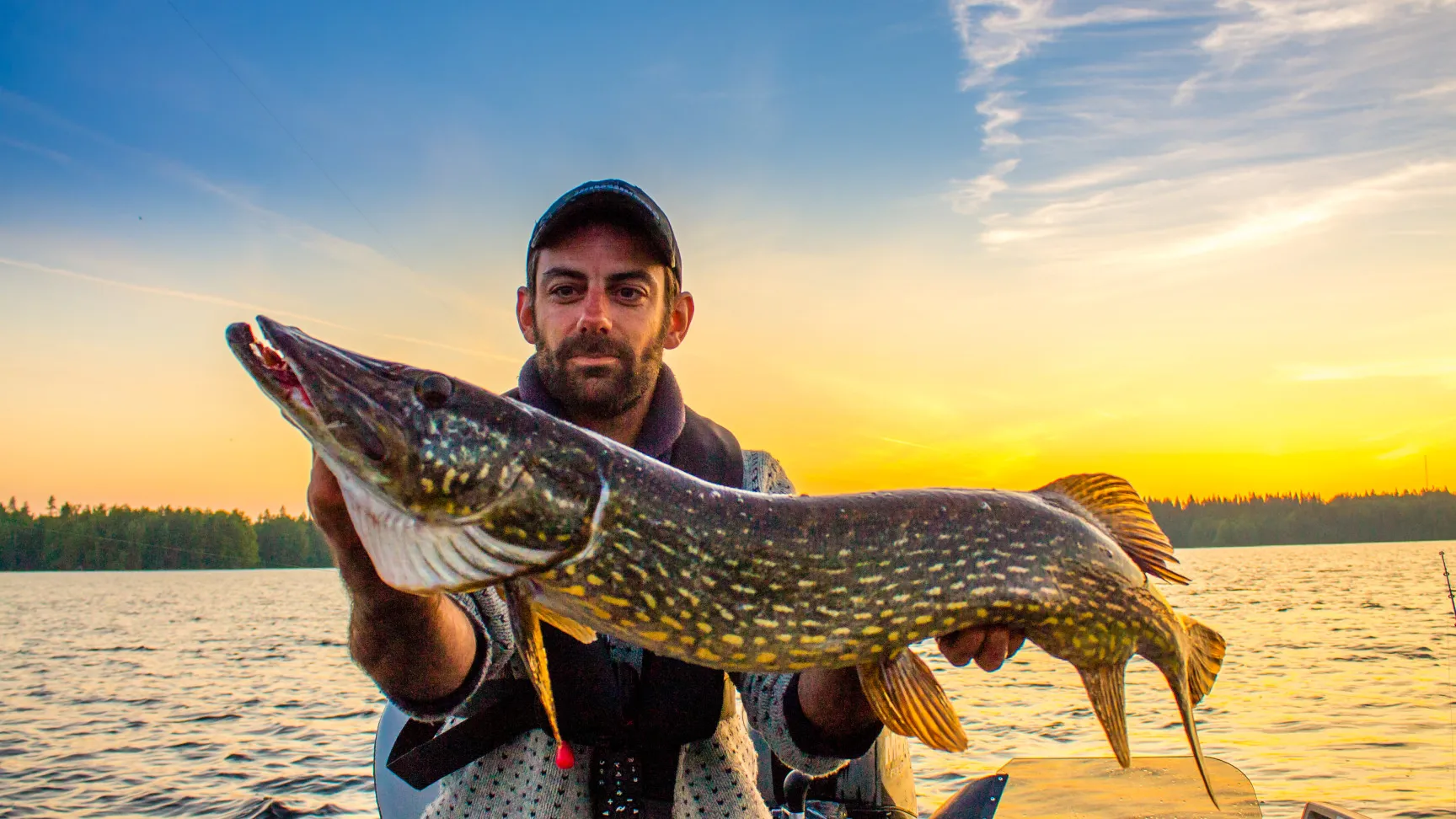 Granjas de pesca en Ulvöhamn