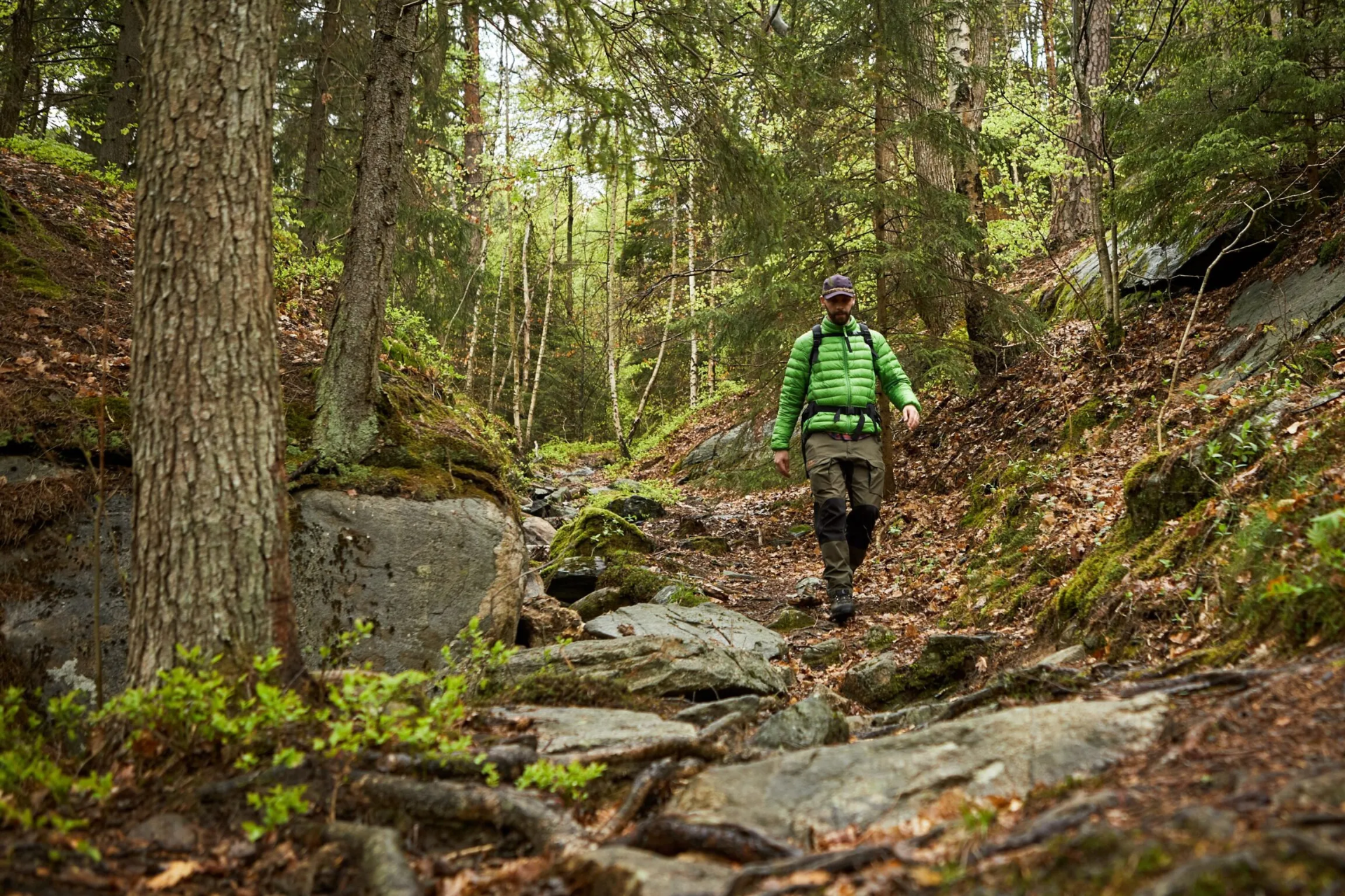 Gotaleden Trail