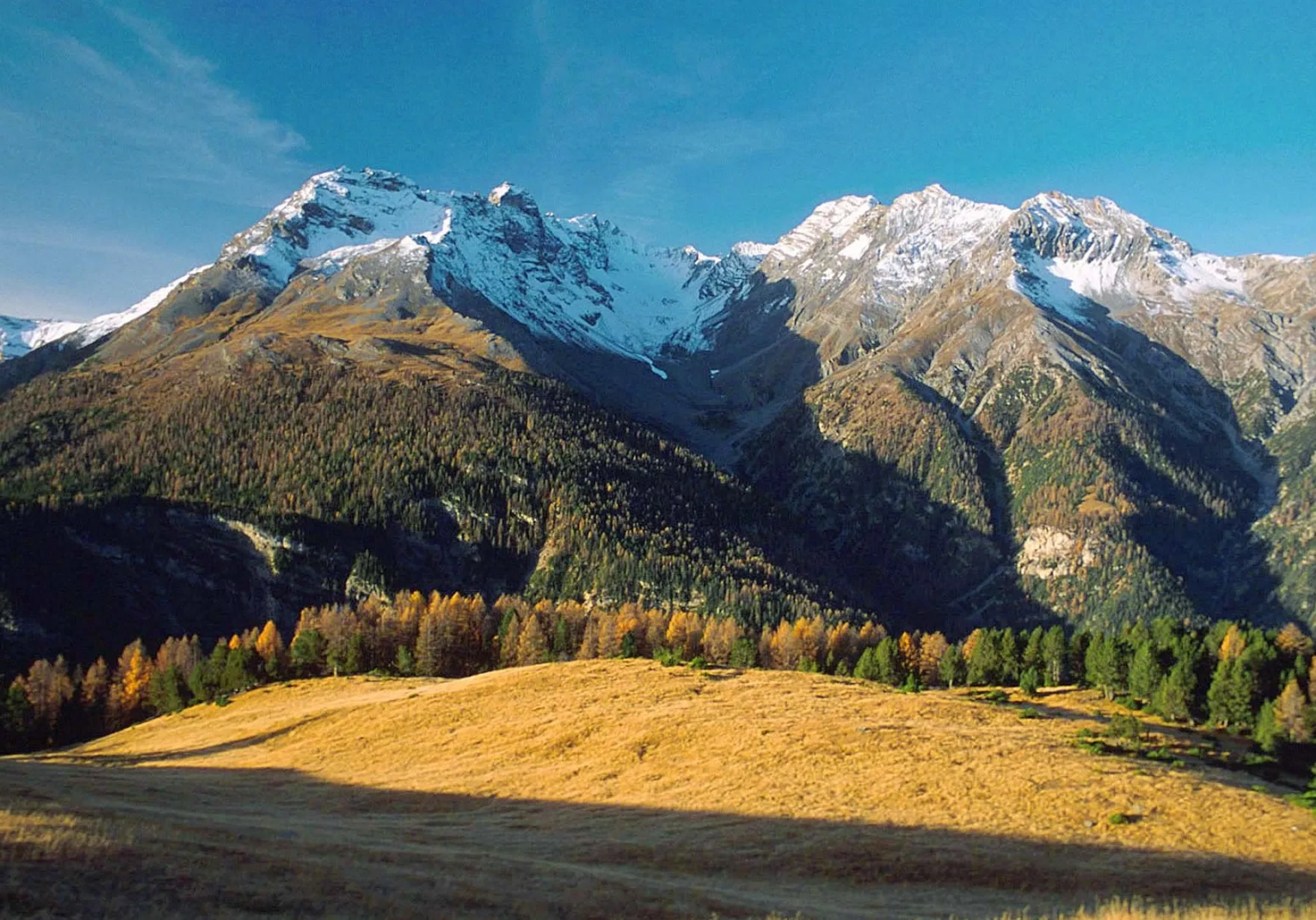 Parc Naziunal Svizzer