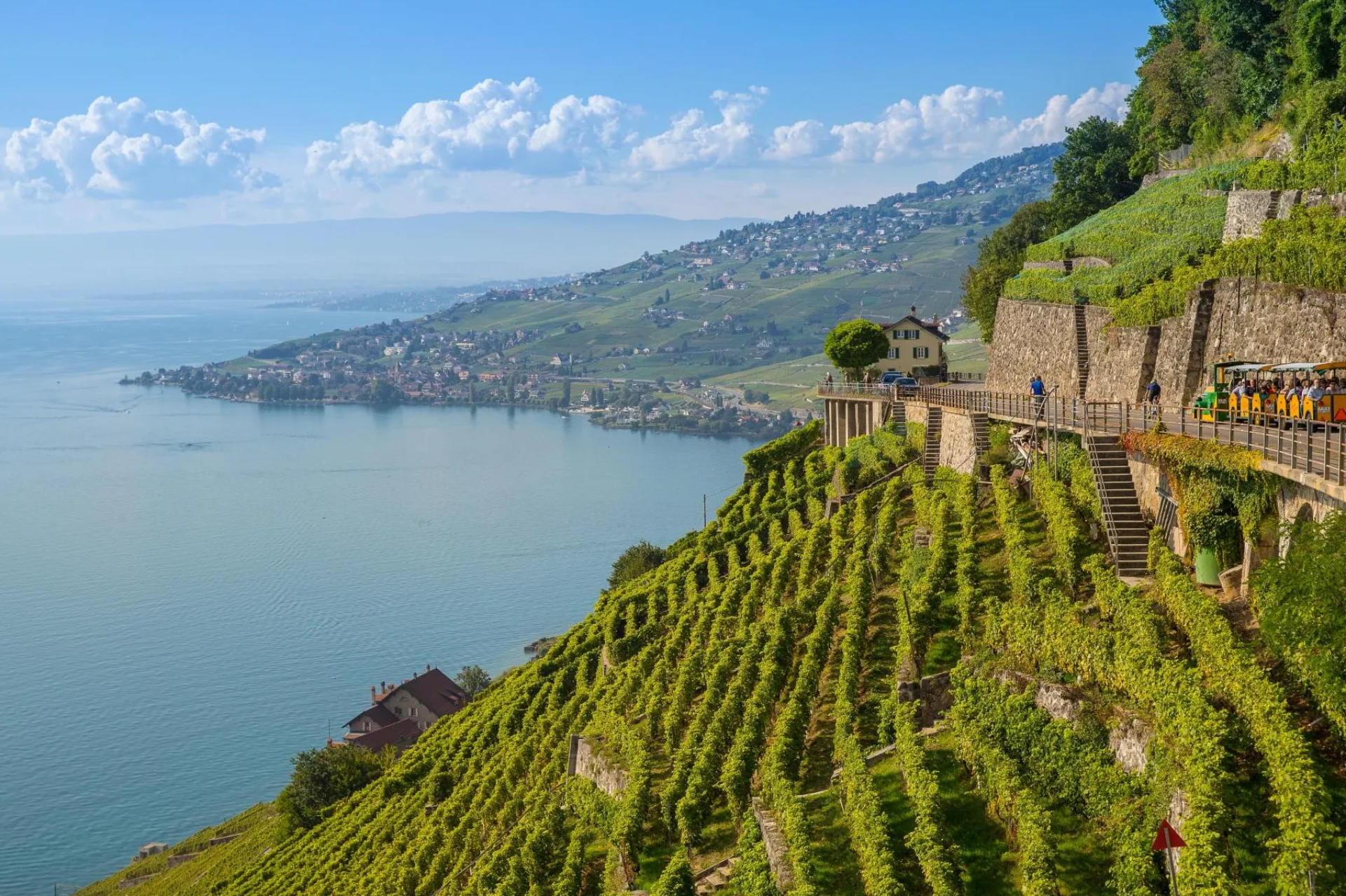 Caminata de la Viña Lavaux