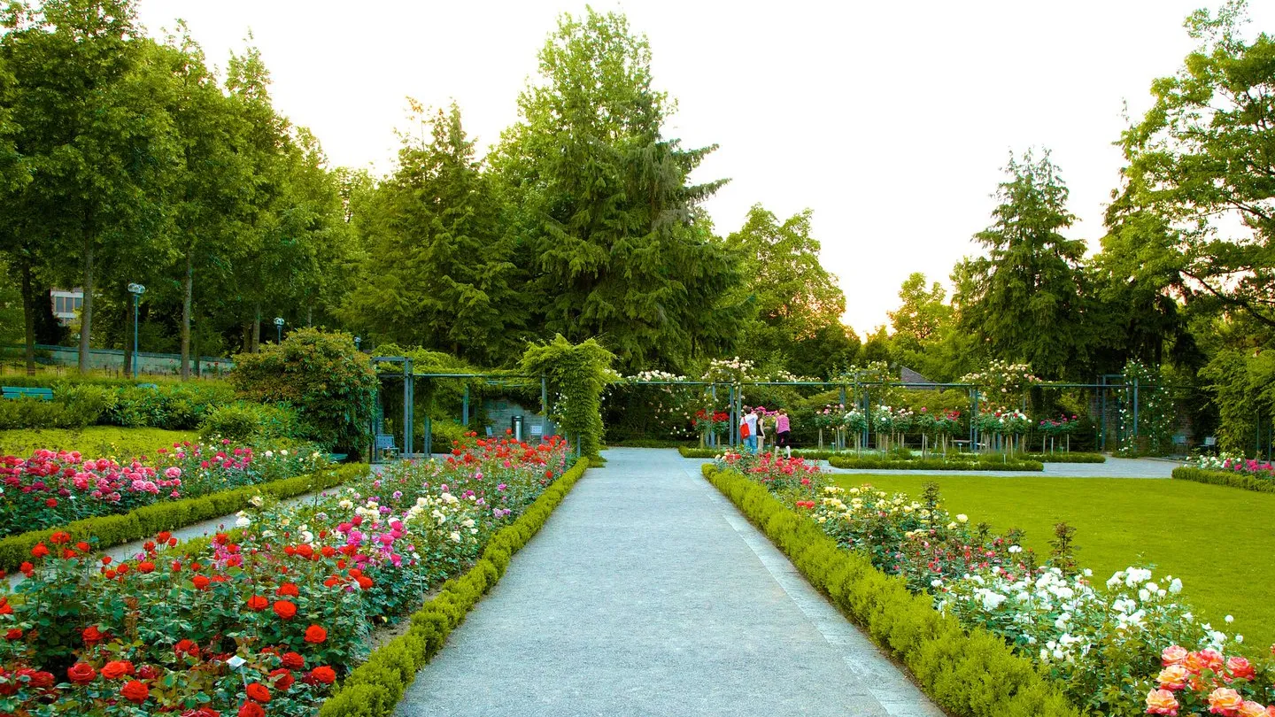 Jardín de Rosas