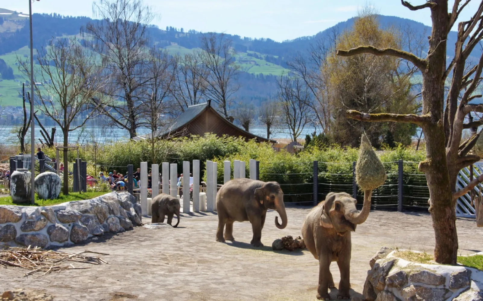 Knies Kinderzoo